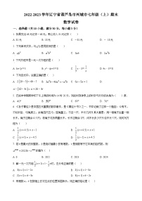 辽宁省葫芦岛市兴城市2022-2023学年七年级上学期期末数学试题（原卷版+解析版）