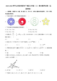 山东省东营市广饶县2023-2024学年七年级上学期期末数学试题（原卷版+解析版）