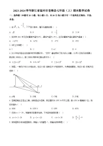 浙江省温州市苍南县2023-2024学年七年级上学期期末数学试题（原卷版+解析版）