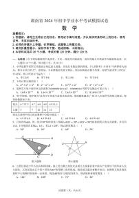 2024年湖南省中考数学全真模拟试卷