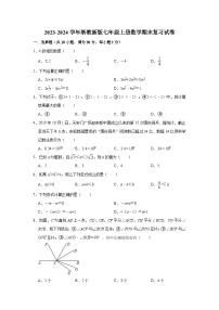 浙教新版2023-2024学年七年级上册数学期末复习试卷(含答案)