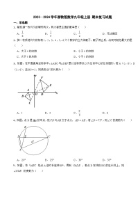 浙教版2023-2024学年数学九年级上册 期末复习试题