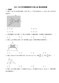 浙教版2023-2024学年数学九年级上册 期末检测试题