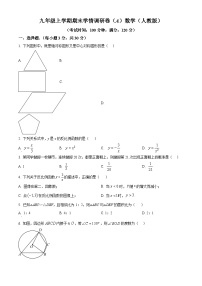 河南省安阳市龙安区2023-2024学年九年级上学期期末数学试题（原卷版+解析版）