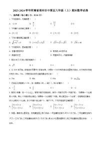 河南省郑州市中原区2023-2024学年八年级上学期期末数学试题（原卷版+解析版）