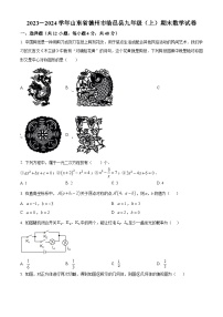 山东省德州市临邑县2023-2024学年九年级上学期期末数学试题（原卷版+解析版）