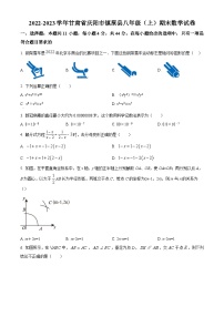 甘肃省庆阳市镇原县2022-2023学年八年级上学期期末数学试题（原卷版+解析版）