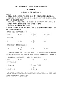 四川省宜宾市兴文县2023-2024学年九年级上学期期末数学试题（原卷版+解析版）