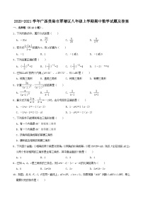 2020-2021学年广西贵港市覃塘区八年级上学期期中数学试题及答案