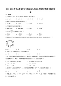 2021-2022学年山东省济宁市微山县八年级上学期期末数学试题及答案