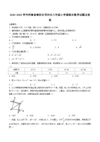 2022-2023学年河南省南阳市邓州市八年级上学期期末数学试题及答案
