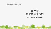 北师大版七年级下册1 两条直线的位置关系课堂教学课件ppt