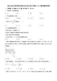 四川省乐山市市中区2023-2024学年八年级上学期期末数学试题（原卷版+解析版）