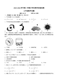 37，广东省惠州市惠东县2023-2024学年九年级下学期开学检测数学试题