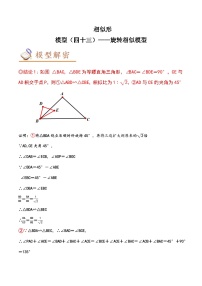 中考数学几何模型专项复习 模型43 相似形——旋转相似模型-（原卷版+解析）