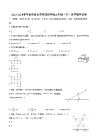 2023-2024学年吉林省长春外国语学校九年级（下）开学数学试卷（含解析）