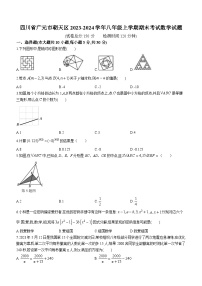 四川省广元市朝天区2023-2024学年八年级上学期期末考试数学试题