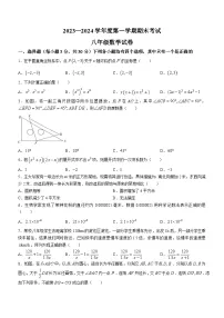 河南省商丘市夏邑县2023-2024学年八年级上学期期末数学试题