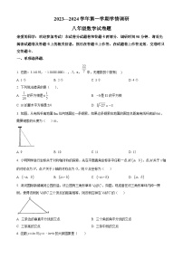 河南省郑州市郑州经济技术开发区2023-2024学年八年级上学期期末数学试题（原卷版+解析版）