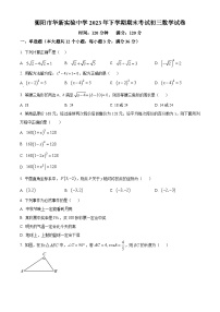 湖南省衡阳市华新实验中学2023-2024学年九年级上学期期末数学试题（原卷版+解析版）