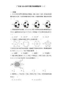 广东省2024届中考数学易错模拟卷（一）