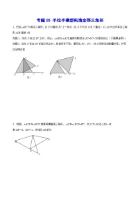 专题05 手拉手模型构造全等三角形(基础训练)-2024年中考数学重难点专项突破（全国通用）