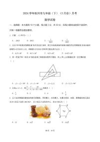 2024届杭州九年级（下）3月份月考数学试卷+答案