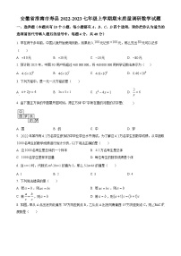 安徽省淮南市寿县2022-2023学年七年级上学期期末质量调研数学试题(沪科版 含答案)