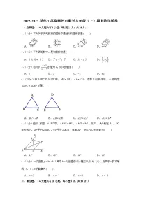 江苏省泰州市泰兴市2022-2023学年八年级上学期期末数学试卷(含答案)