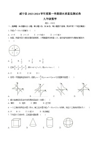 贵州省毕节市威宁彝族回族苗族自治县2023-2024学年九年级上学期期末数学试题(无答案)