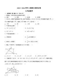 河南省新乡市卫辉市2023-2024学年七年级上学期期末数学试题