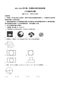 山东省德州市禹城市2023-2024学年九年级上学期期末数学试题