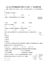 2023-2024学年福建省泉州市晋江市七年级（上）期末数学试卷（含解析）