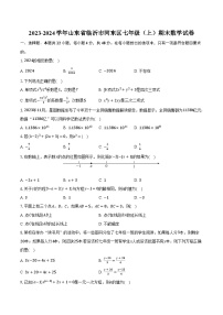 2023-2024学年山东省临沂市河东区七年级（上）期末数学试卷（含解析）