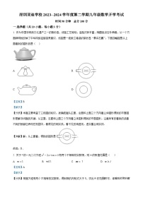 广东省深圳市龙岗区深圳亚迪学校2023-2024学年九年级下学期开学考试数学试题