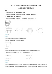 广东省深圳市南山区哈尔滨工业大学（深圳）实验学校2023-2024学年九年级下学期开学考试数学试题