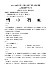 广东省中山市中山纪念中学2023-2024学年九年级下学期开学考试数学试题