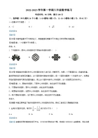 河北省石家庄市长安区2022-2023学年八年级上学期开学考试数学试题