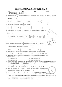 湖南省岳阳市汨罗市任弼时红军中学2023-2024学年九年级下学期入学考试数学试题