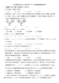 辽宁省沈阳市2023—2024学年 下学期九年级学期初数学调研试题