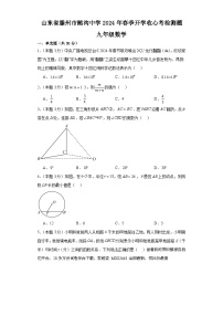 山东省滕州市鲍沟中学2023--2024学年下学期九年级数学开学收心考检测题