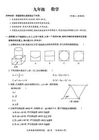 贵州省毕节市织金县2023—2024学年九年级上学期期末数学试题