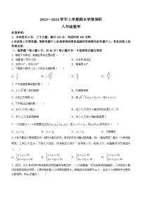 河南省郑州市新郑市2023-2024学年八年级上学期期末数学试题