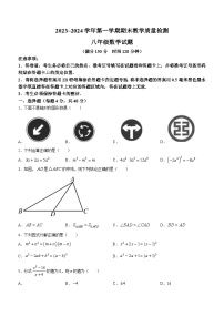 山东省德州市禹城市2023-2024学年八年级上学期期末数学试题