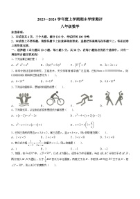 河南省驻马店市平舆县2023-2024学年八年级上学期期末数学试题