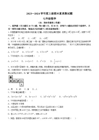 河南省驻马店市汝南县2023-2024学年七年级上学期期末数学试题