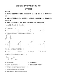 河南省平顶山市鲁山县2023-2024学年七年级上学期期末数学试题（原卷版+解析版）