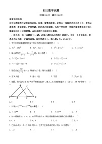 山东省淄博市淄川区（五四制）2023-2024学年八年级上学期期末数学试题+（原卷版+解析版）