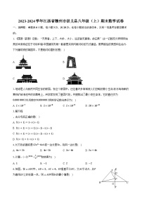 2023-2024学年江西省赣州市崇义县八年级（上）期末数学试卷（含解析）