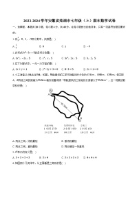 2023-2024学年安徽省芜湖市七年级（上）期末数学试卷（含解析）